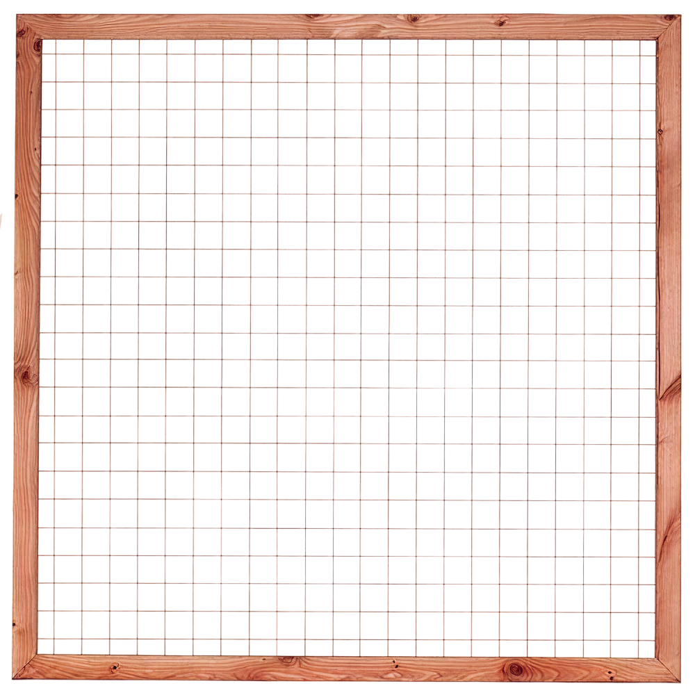 Douglas Betonijzertrellis 180 x 180cm met lijst